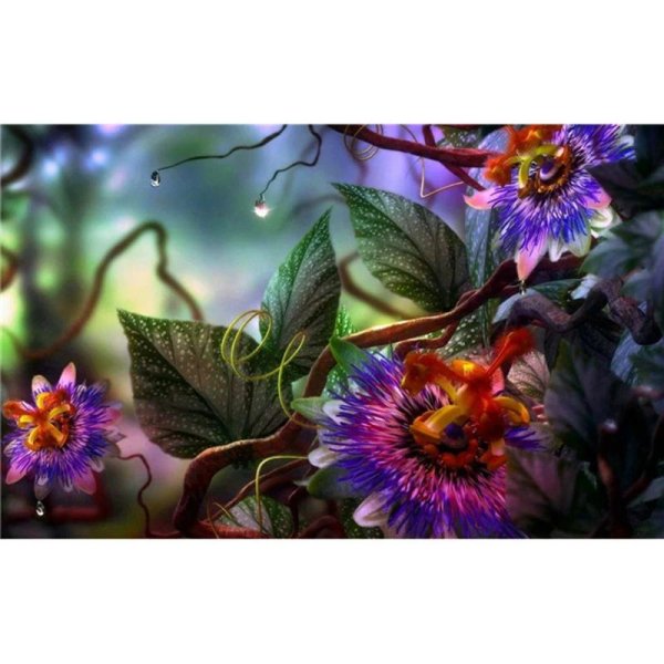 чудесные цветы