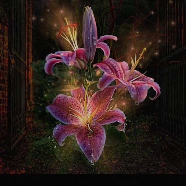 сказочный цветокдианы эловой