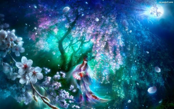 живая сакура