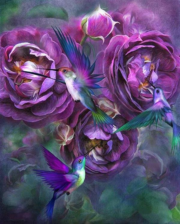 колибри картина