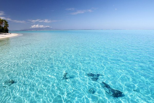 мальдивы голубая лагуна