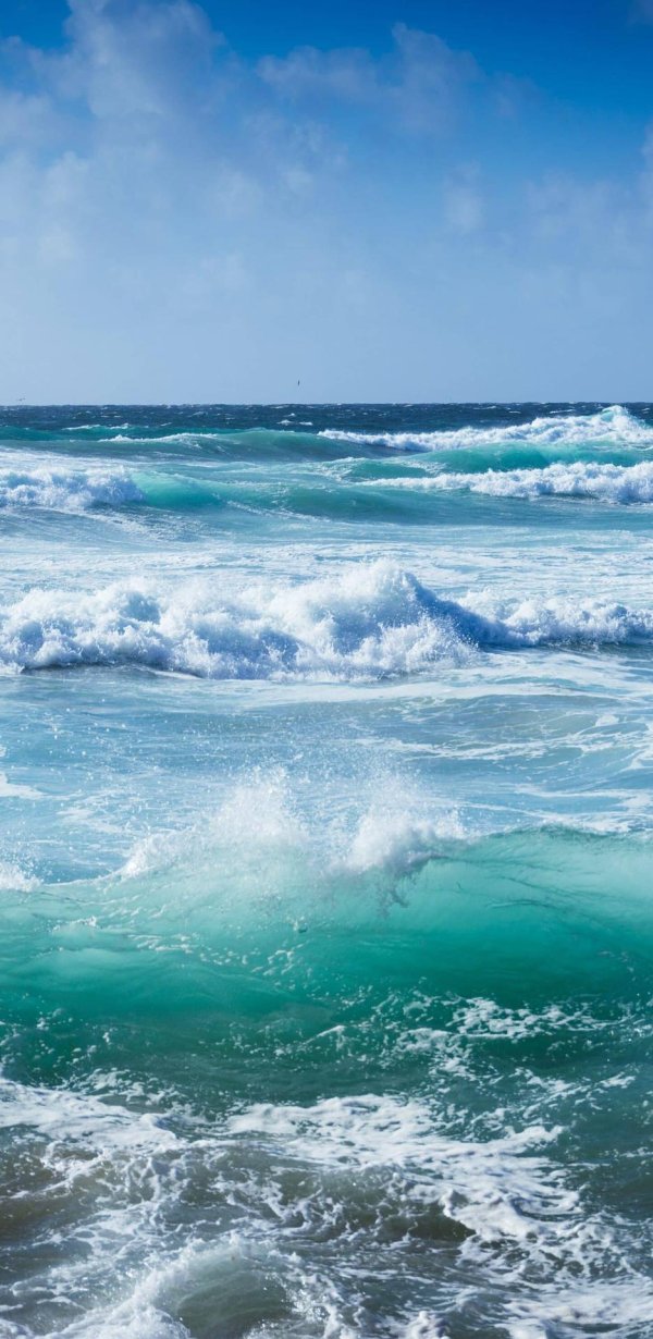 волна океана