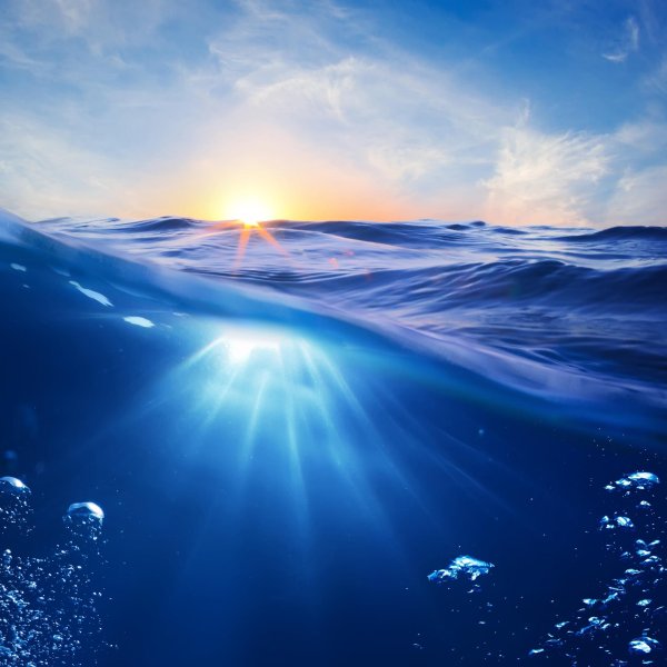 пейзаж океан