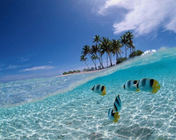 пляж тропический