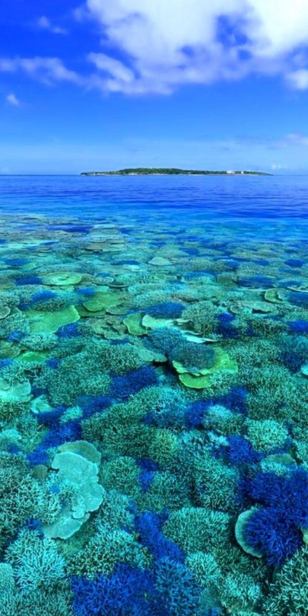 большой барьерный риф австралии