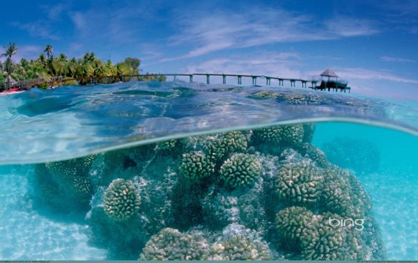 коралловые острова