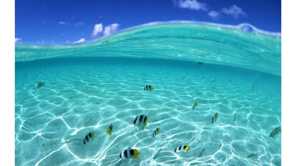 океан под водой