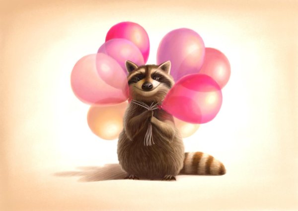 енот иллюстрация