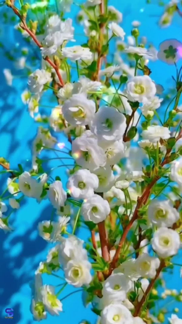 весеннего настроения