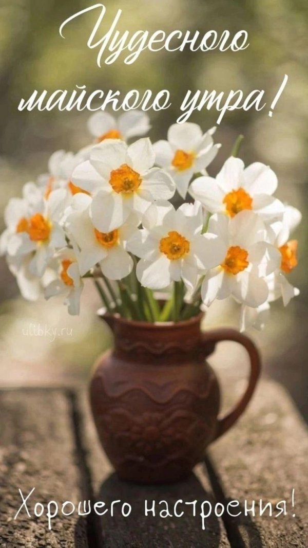 добрейшего весеннего утра