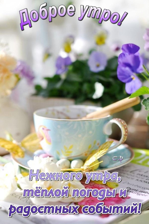 доброе утро праздничное