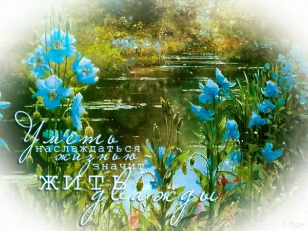 природа цветы анимация