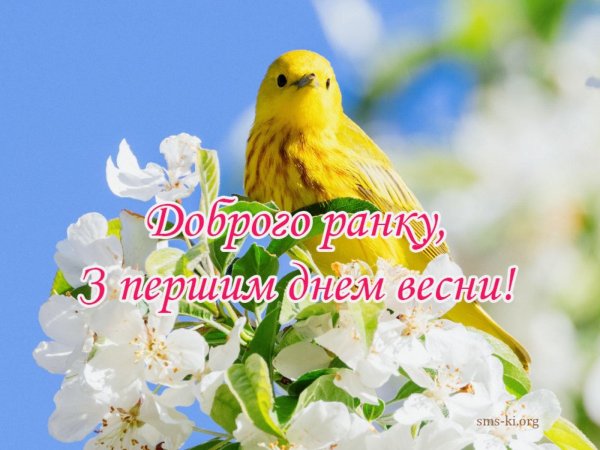 желтая птица