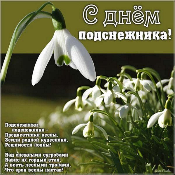 апрельский подснежник