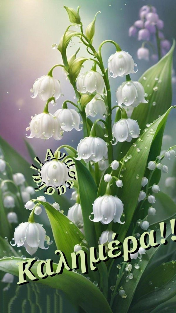 ландыши садовые