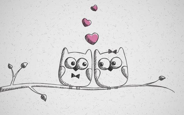 влюбленные совы
