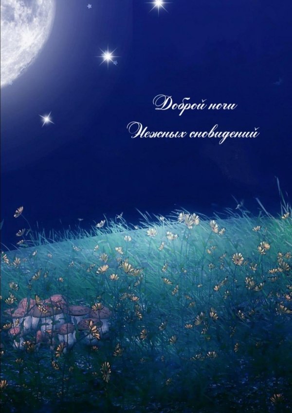 ночь волшебная