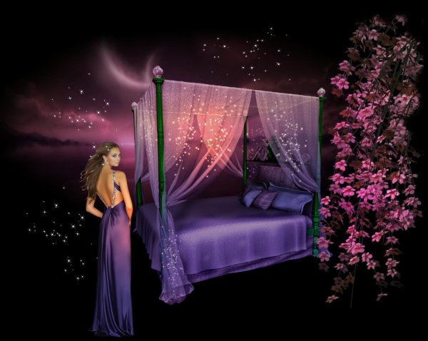 прекрасная ночь