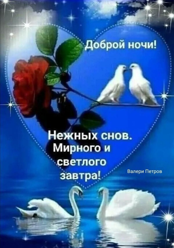 доброй ночи и светлого завтра