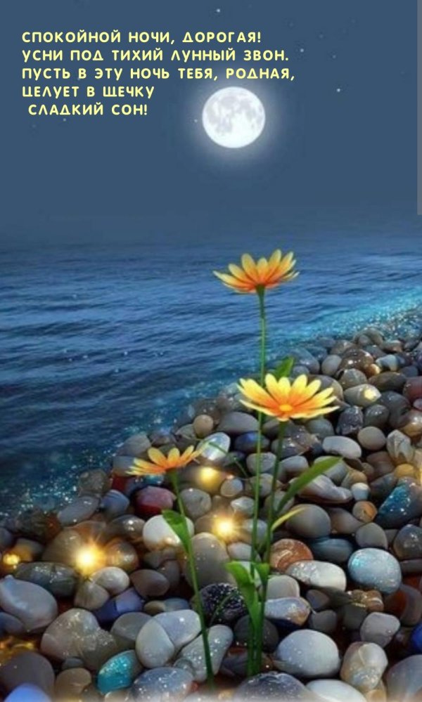 добрая ночь