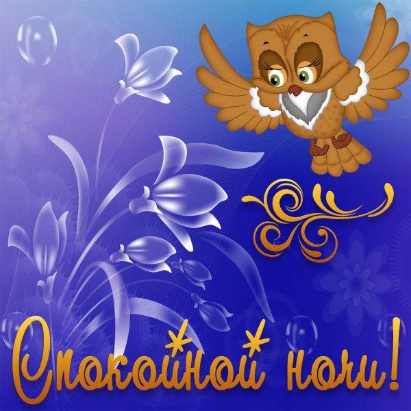 сладких снов сова