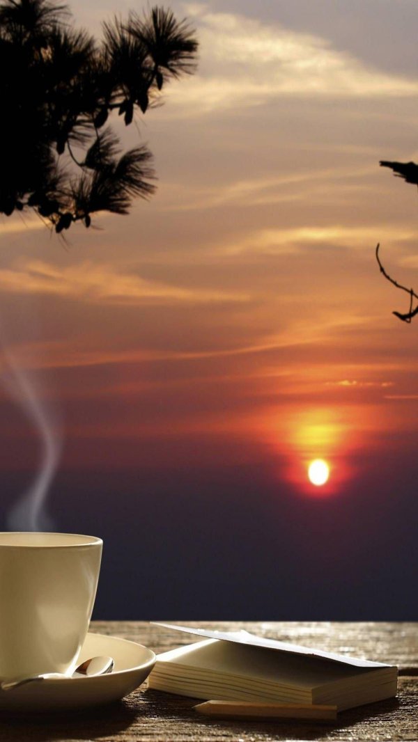 чашка кофе на закате