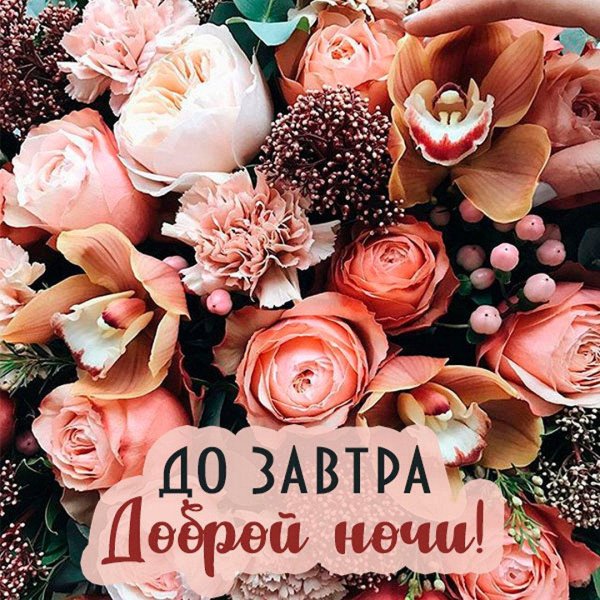 добрый вечер до завтра