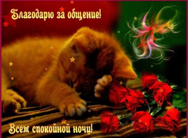 открытка спокойного ночи