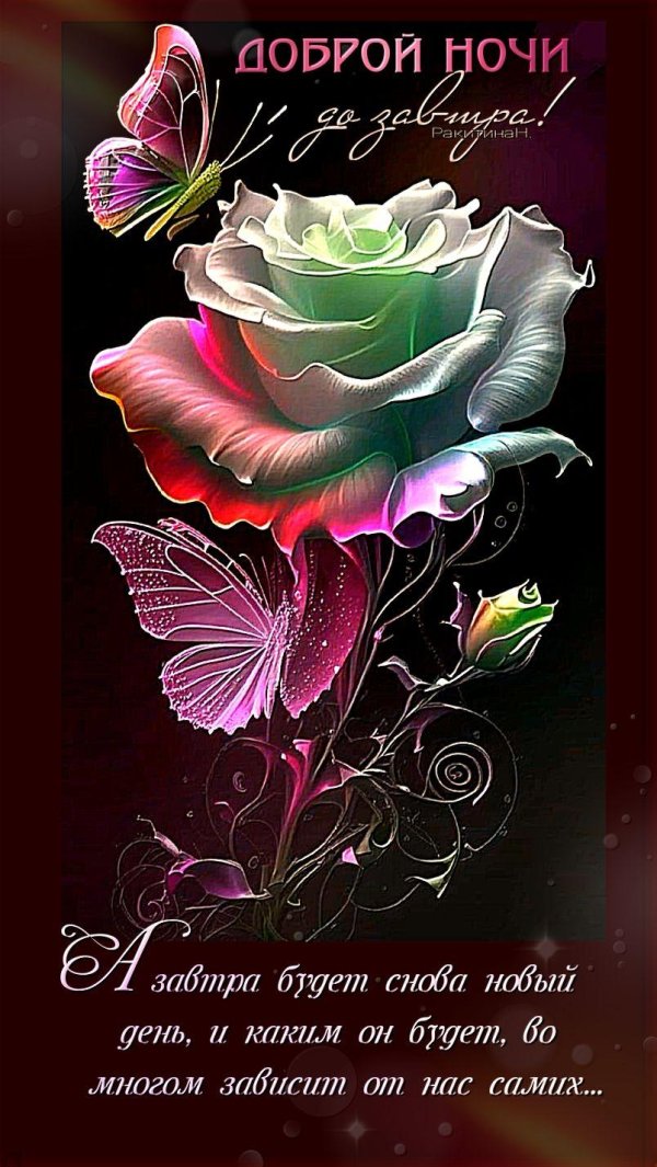милые открытки доброй ночи