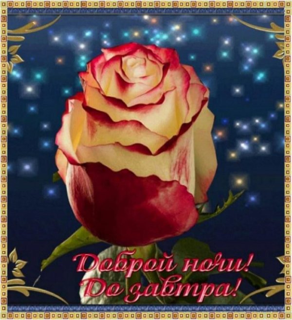 открытка спокойного ночи