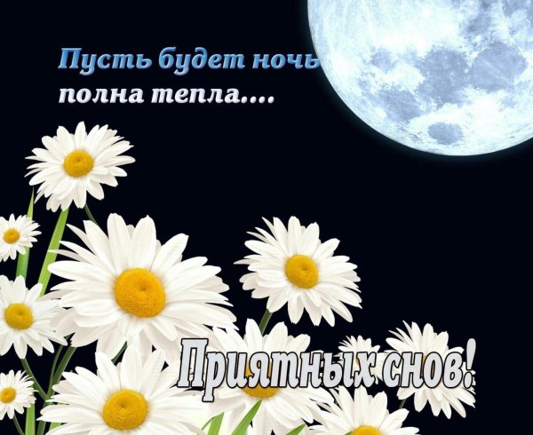 добрый вечер с ромашками