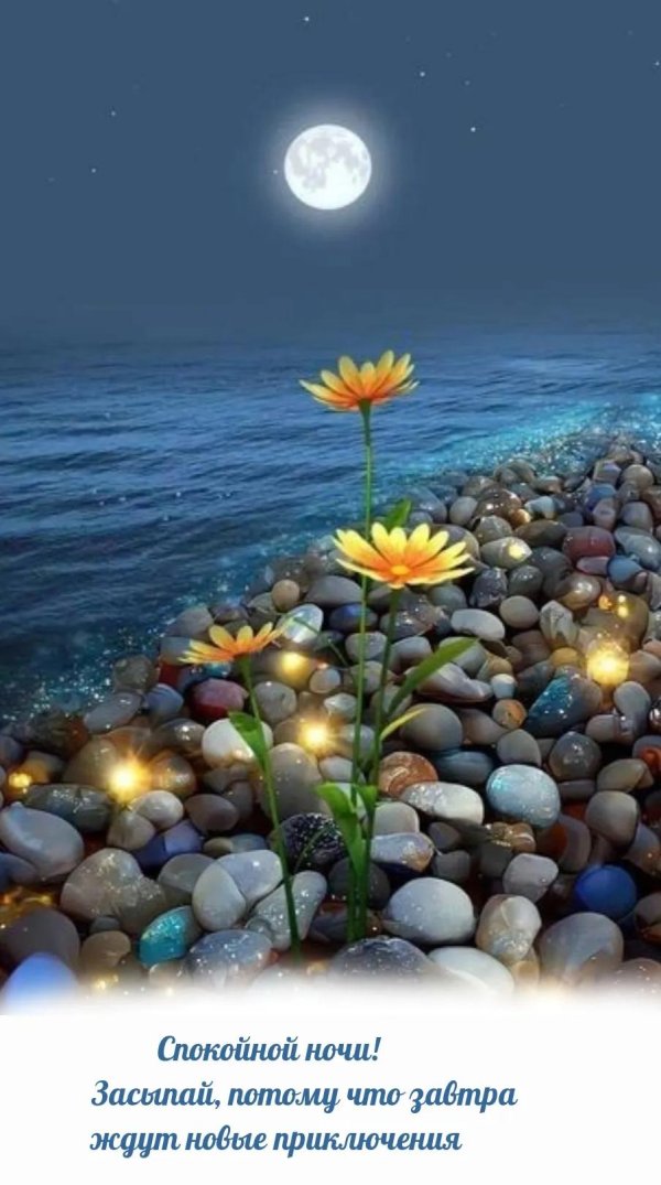 спокойная ночи