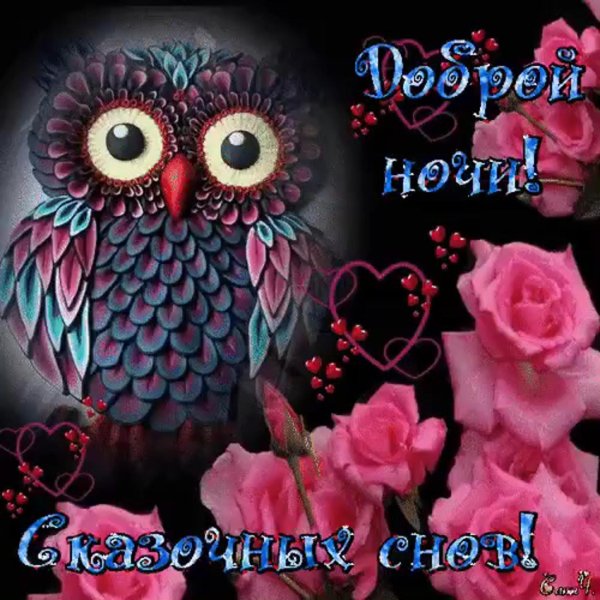 открытка добрый ночи