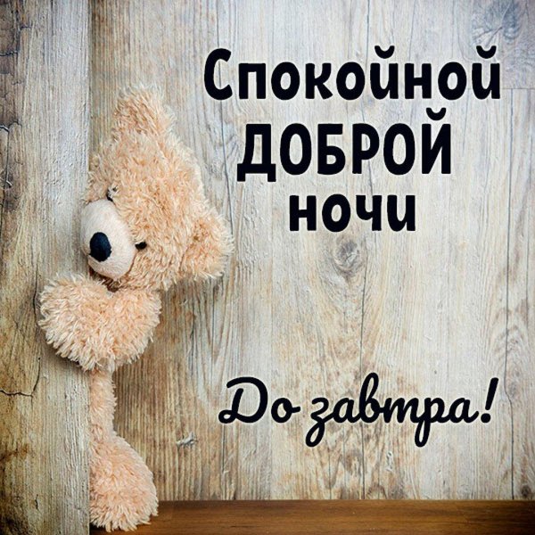 плюшевая мишка