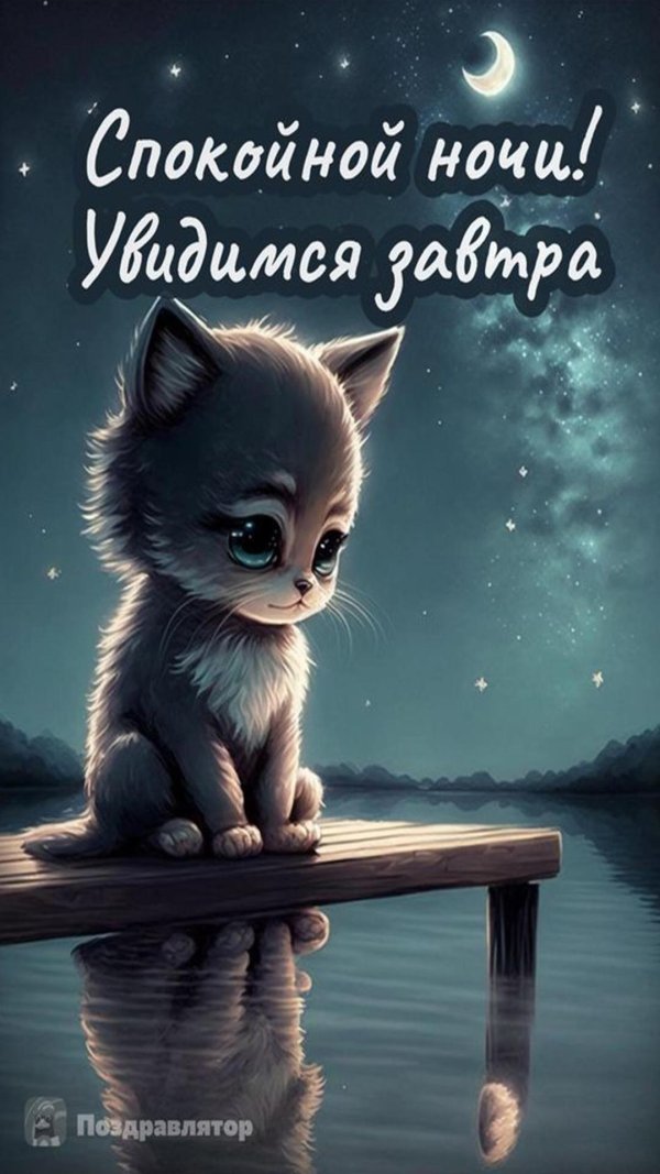 спокойная ночи