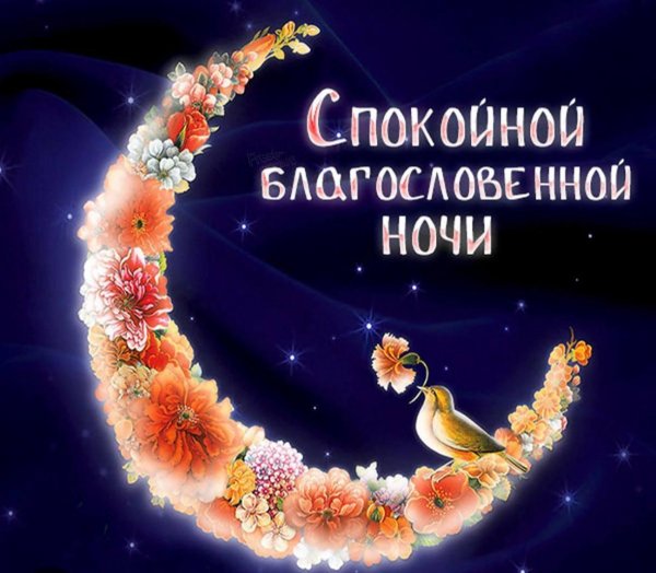 спокойная ночи