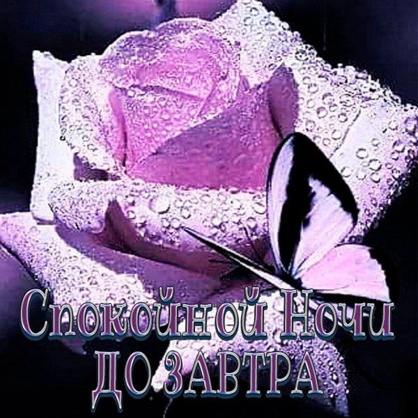 спокойной ночи красивой женщине