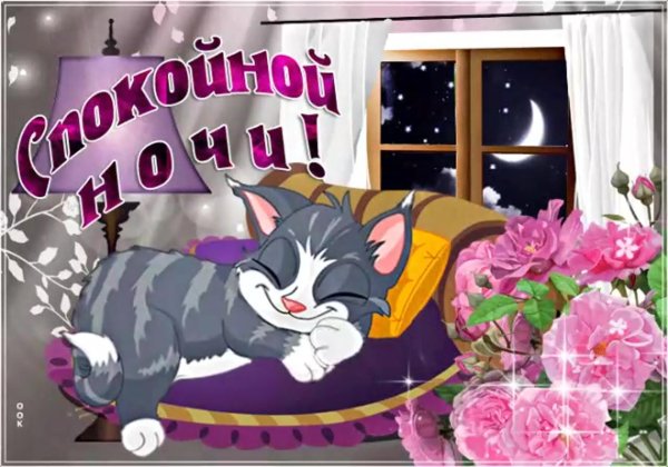 стикер добрый вечер и спокойной ночи