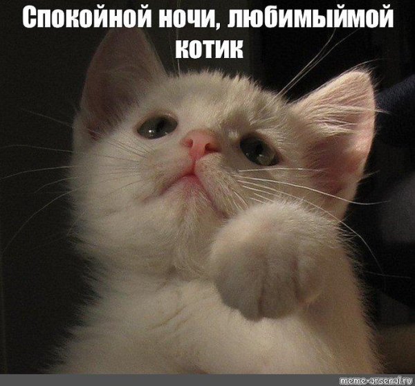 выздоравливай спокойной ночи