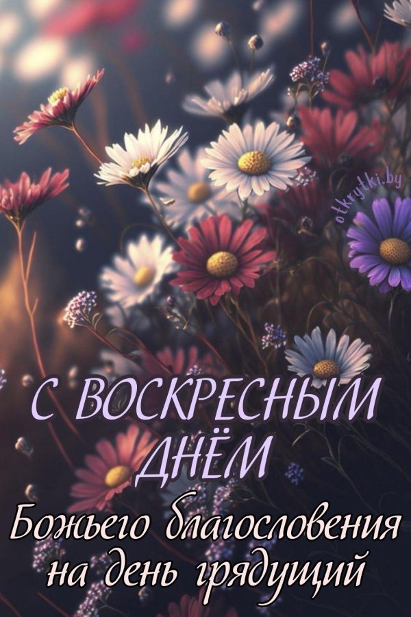 цветочные фоны