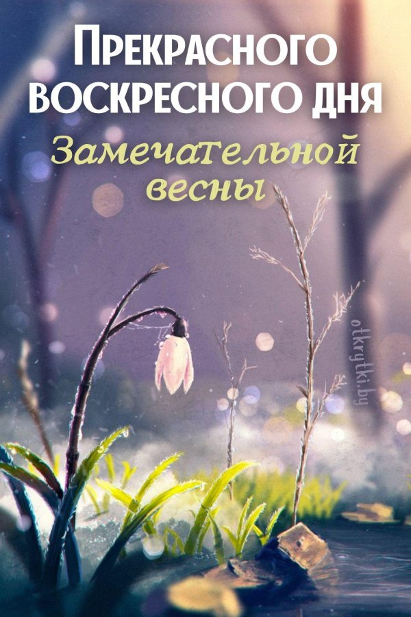 весеннего воскресенья