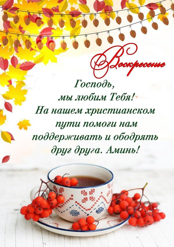 чай с рябиной