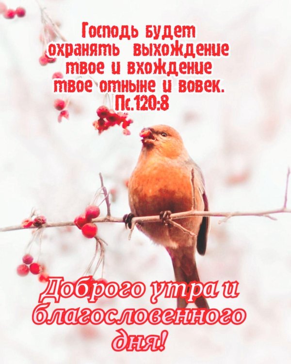 доброе утро благословение