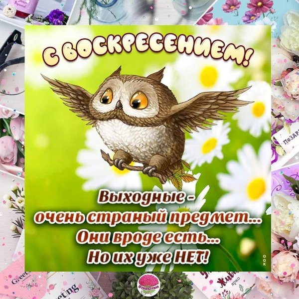 воскресенье воскресения