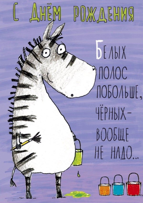 зебра с днем рождения