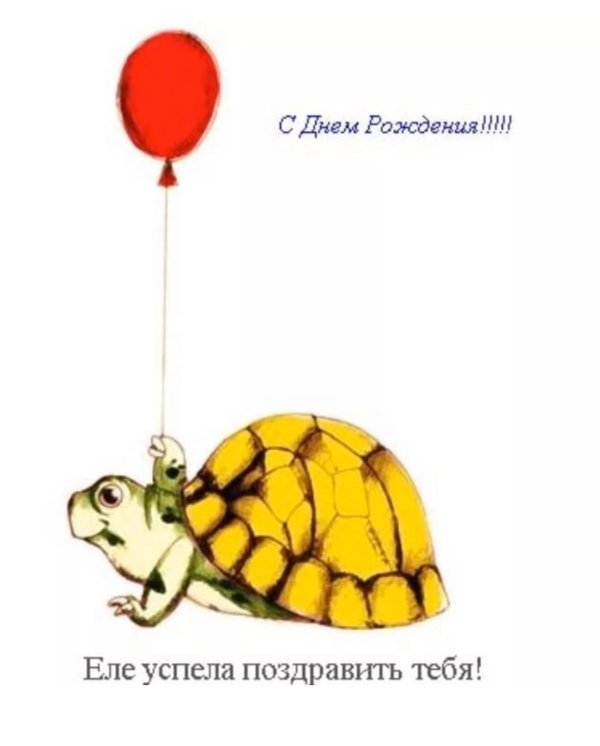 с днем рождения черепашка