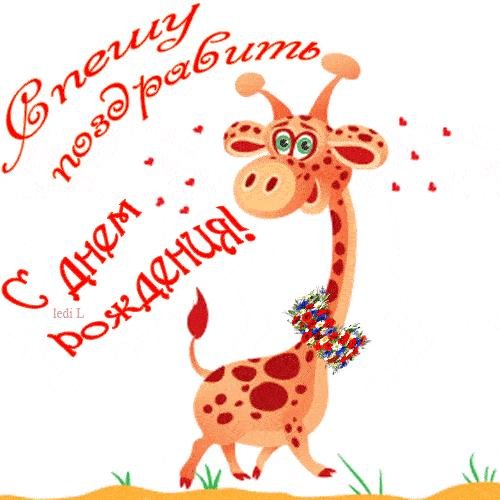 открытки жираф