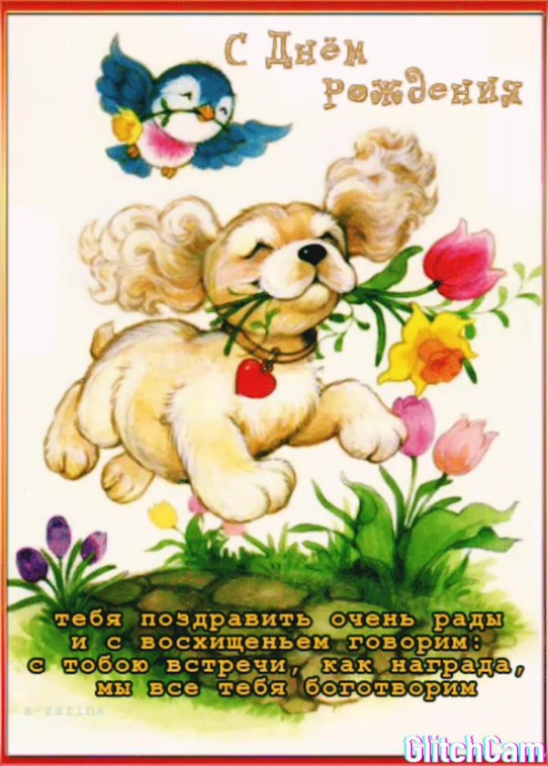 с днем рождения собачка