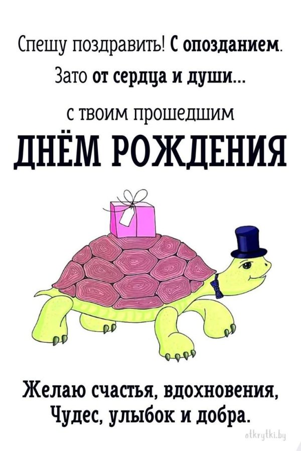 с днем рождения черепашка