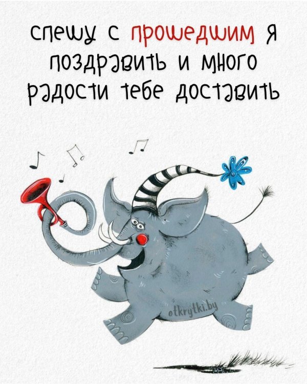 открытки слоники